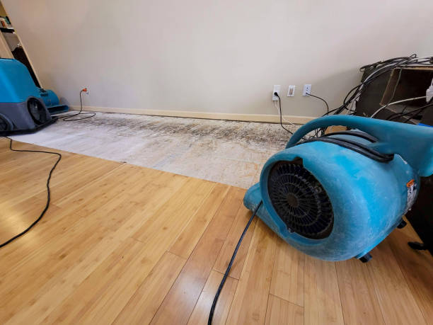 Professional Emergency Water Damage technician working in Eaton Rapids, MI